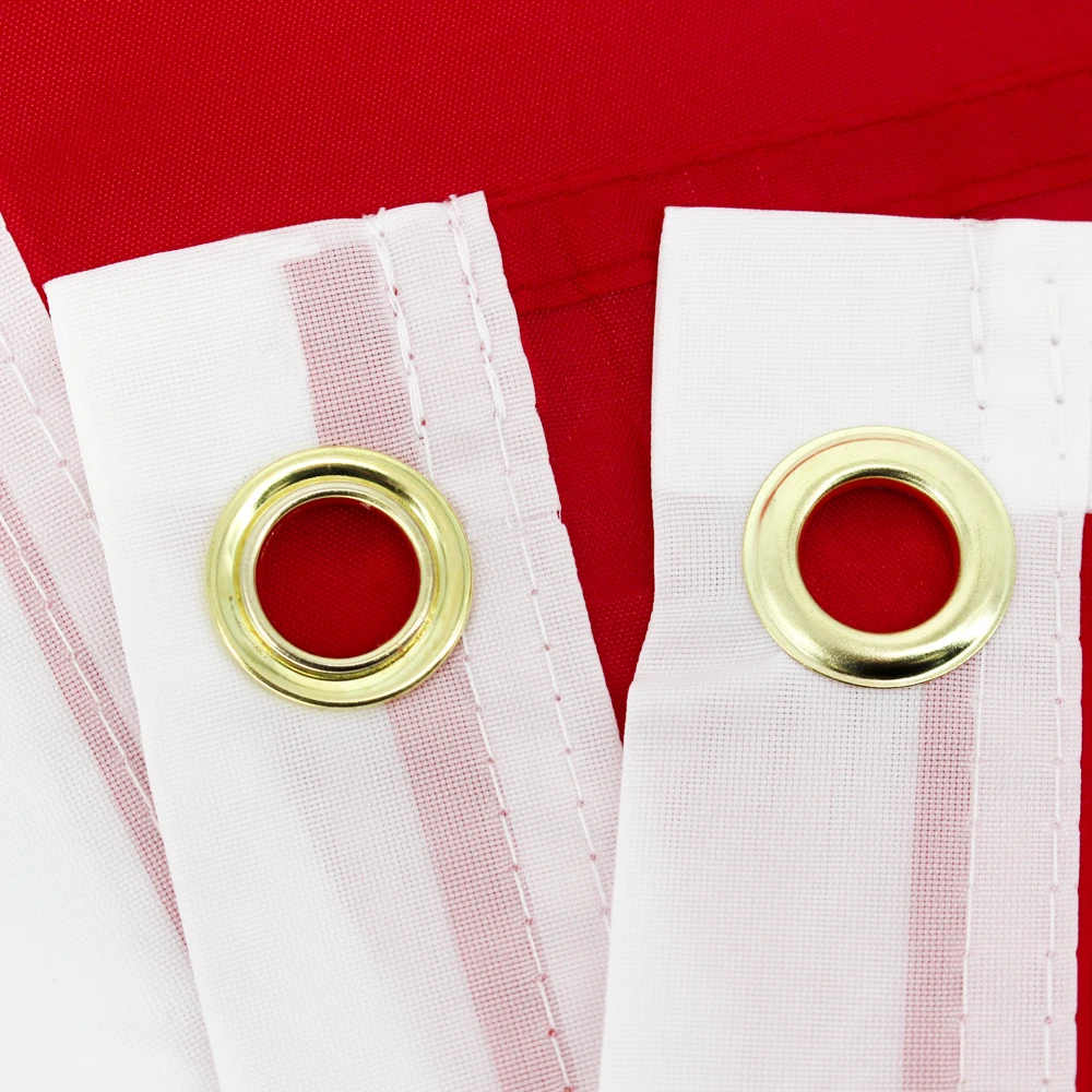 Bandera de Suiza de 90x150cm, cruz blanca, banderas de Suiza Ch Che, decoración impresa de poliéster, tapiz de pancarta - imagen 5