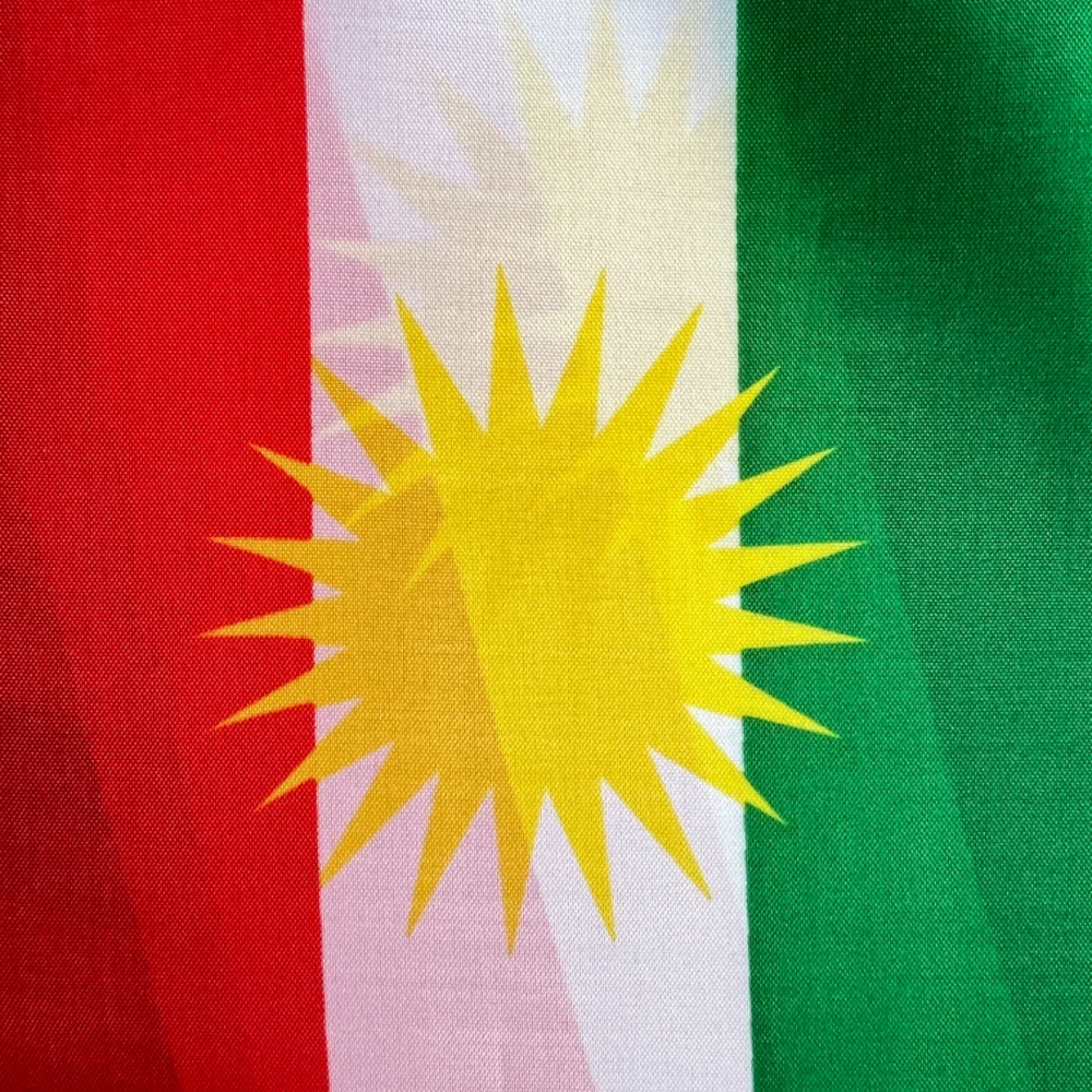 Bandera de mano kurda de 14x21cm que agita el palo de plástico de banner nacional de Kurdistán - imagen 4