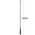 36CM