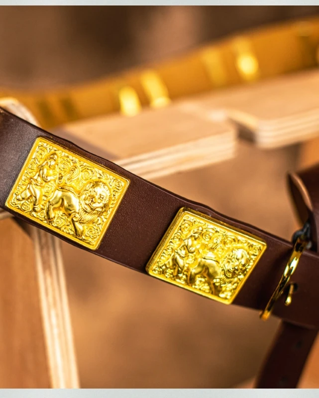 Cinturón de cuero con decoración de Metal, accesorios de estilo chino, armadura Hanfu - imagen 3