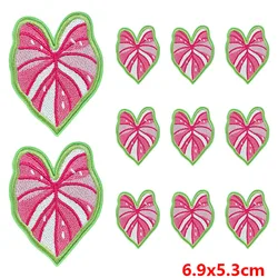 Parche termoadhesivo planta infantil – Pack 10 unidades para planchar en ropa