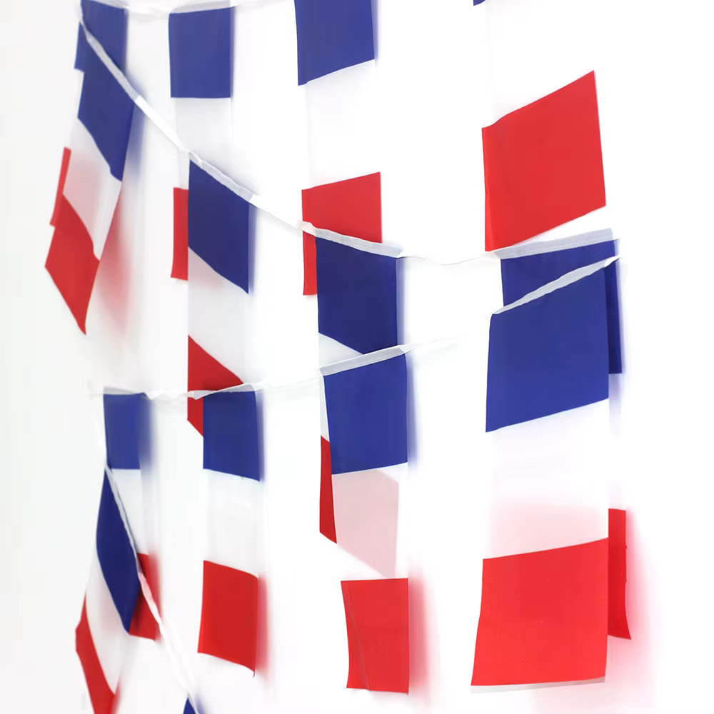 FLAGLINK Banderines cadena Francia decoración fiesta vacaciones - imagen 2
