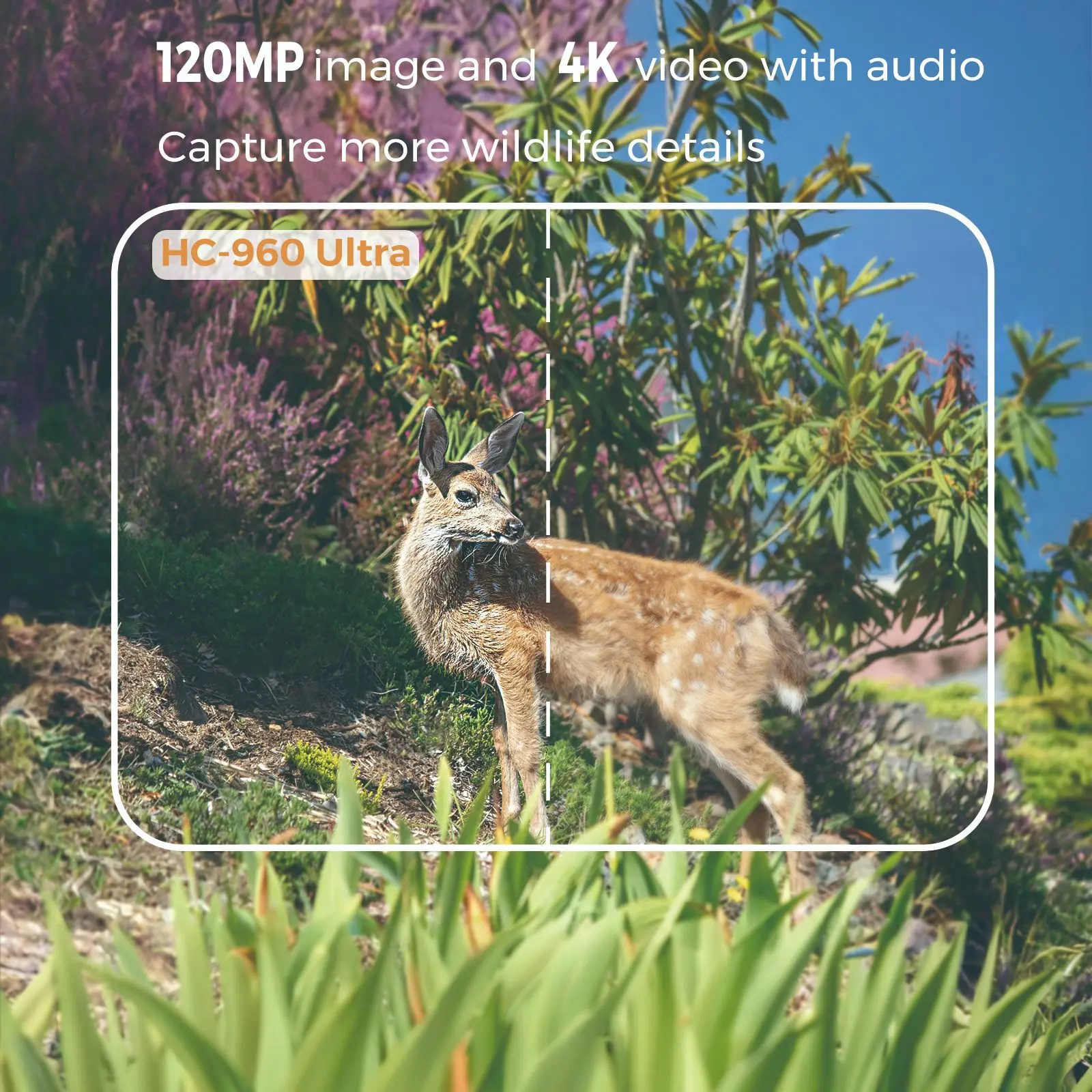 HC-960 Cámara de rastreo Ultra-Li 4K 120MP, 4G LTE, cámara de vida silvestre impermeable IP66 con visión nocturna para monitoreo de seguridad al aire libre - imagen 4