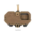 COYOTE BROWN
