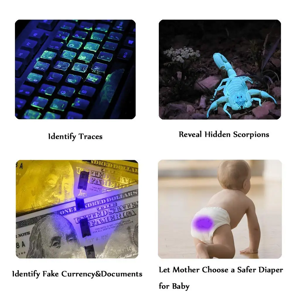 Linterna UV portátil para manchas secas, luz LED púrpura de 5W, 365nm, detección de orina de mascotas - imagen 3