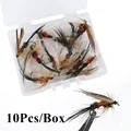 10Pcs