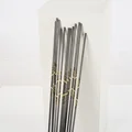 300 spine