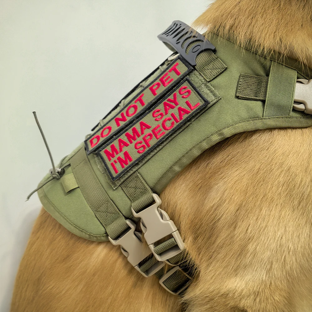 Chaleco militar táctico personalizado para perro Golden Retriever, parches de arnés de entrenamiento táctico para perro, chaleco con arnés para mascota - imagen 2