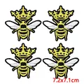 PE16981CT