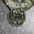 BEAR-1