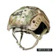 Seal Helmet Cover