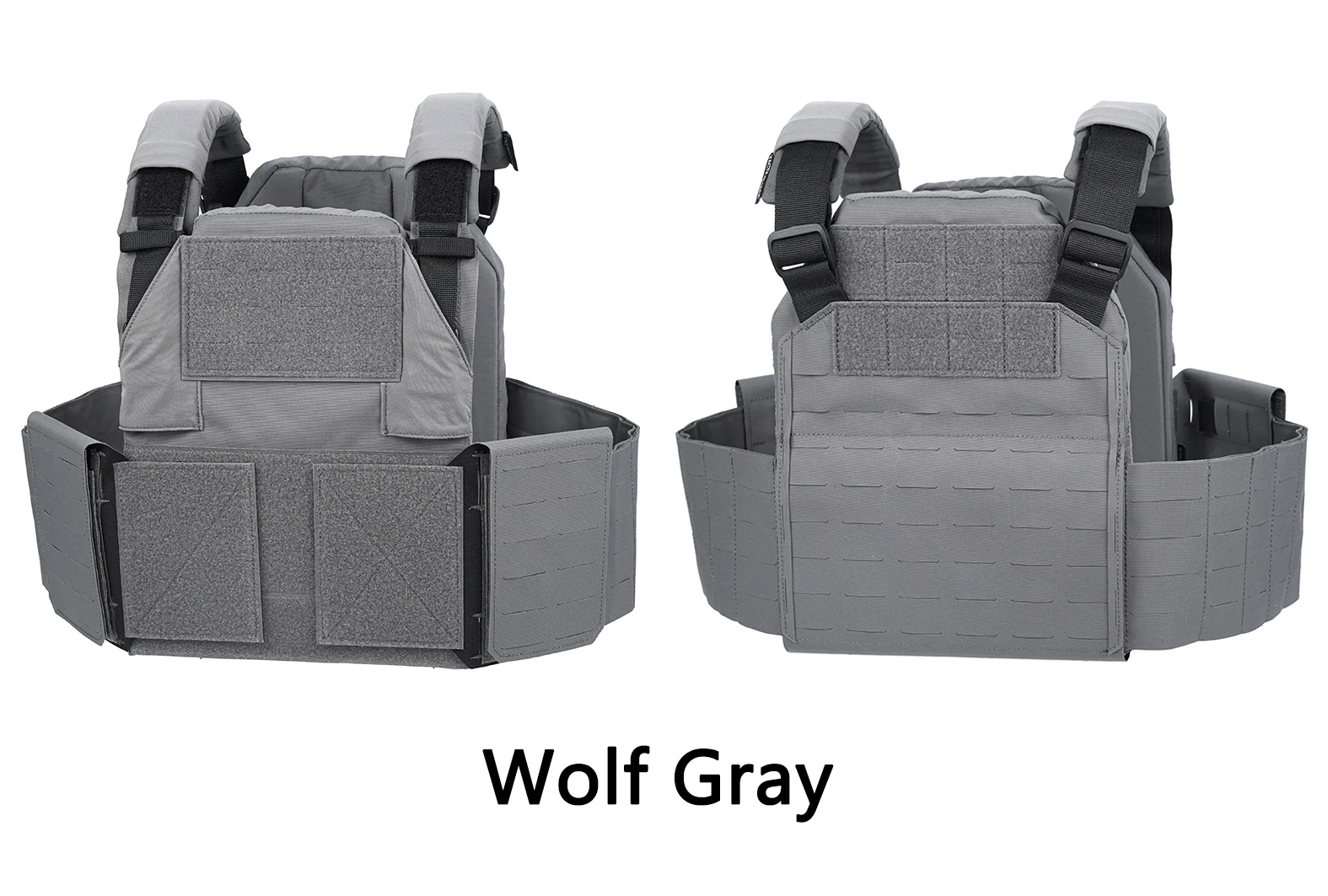 Wolf Gray