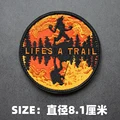 Embroidered patch 13