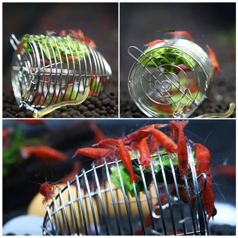 Comedero de acero inoxidable para acuario y camarones - imagen 3
