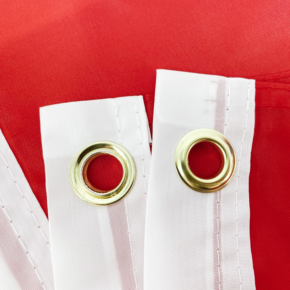 90X150cm Bandera de Noruega Kongойet Noreg Norge Nor No Noruega Banderas norueguesas Poliéster Impreso Decoración Banner Tapiz - imagen 5