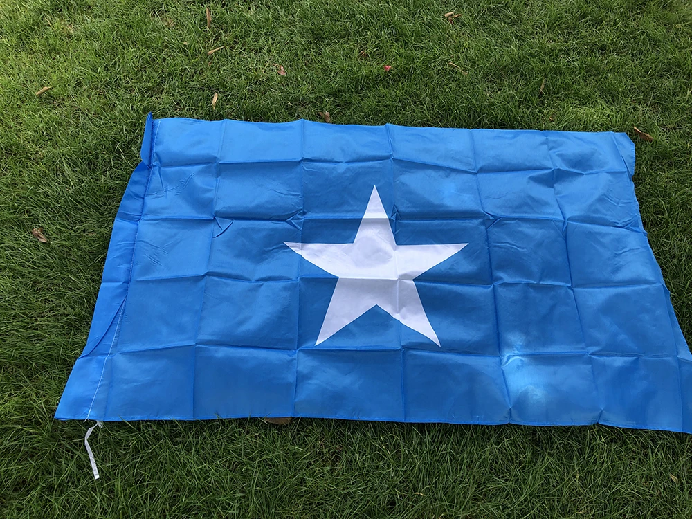 BANDERA DE CIELO Bandera de Somalia 3 pies X 5 pies Bandera nacional de Somalia 90x150 cm Poliéster Colgante Banner Decoración del hogar interior al aire libre - imagen 2