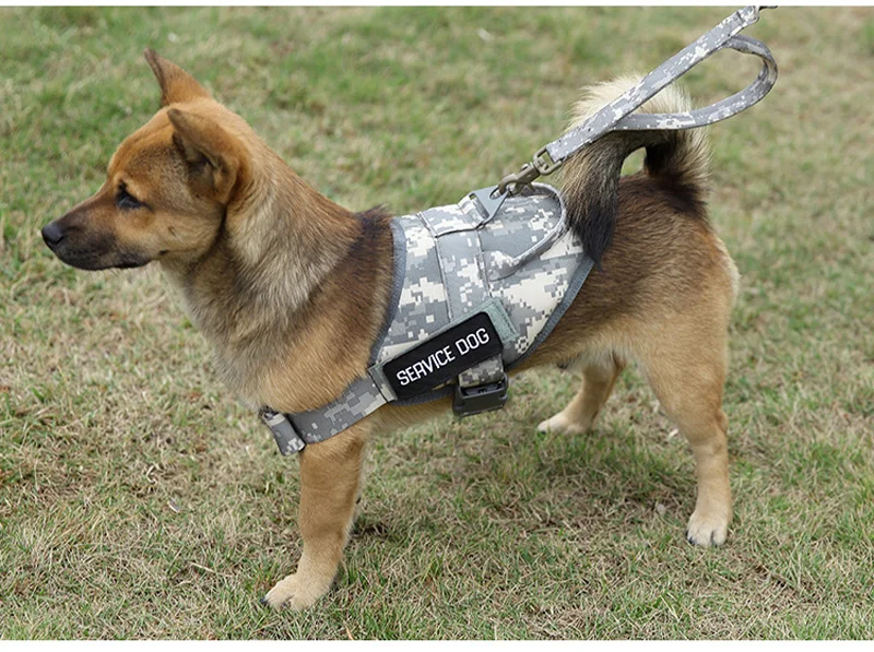 9634994650_1397855441