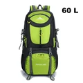 60L green