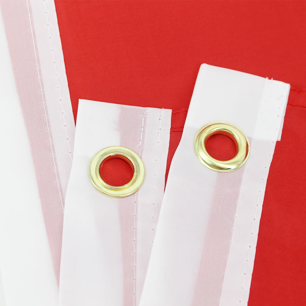 FLAGLINK 90x150 CM Bandera del Tennessee del Estado de EE. UU. Para Decoración - imagen 5