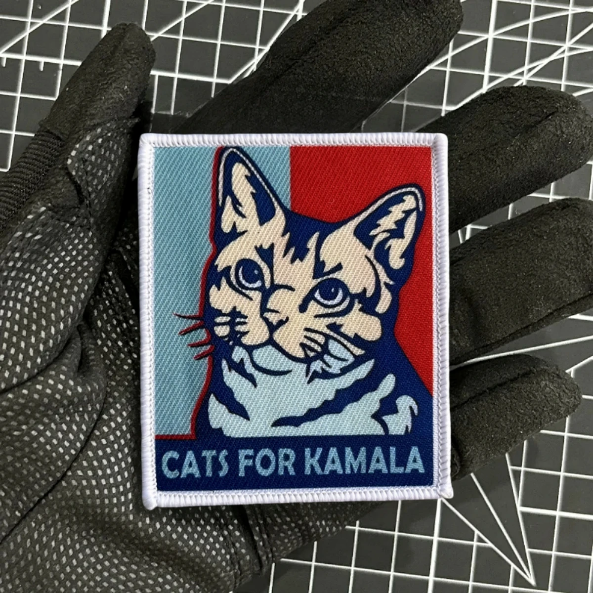 Parche de insignia de moral de advertencia de tigre táctico, brazalete militar, estampado de gato FAFO, parches de bucle de gancho Pew, pegatina de mochila Madafakas - imagen 4