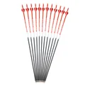12pcs Red