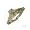 Multicam