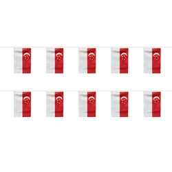 Banderines triangulares Singapur decorativos – para fiesta