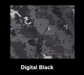 Digital Black