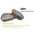 6001-2pcs