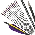 12pcs Purple