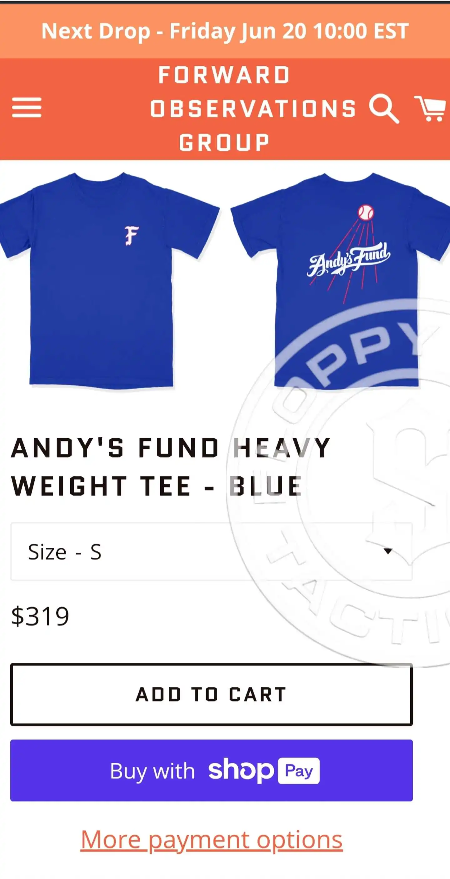 Camiseta del grupo "Andys Fund" de observaciones hacia adelante - imagen 4