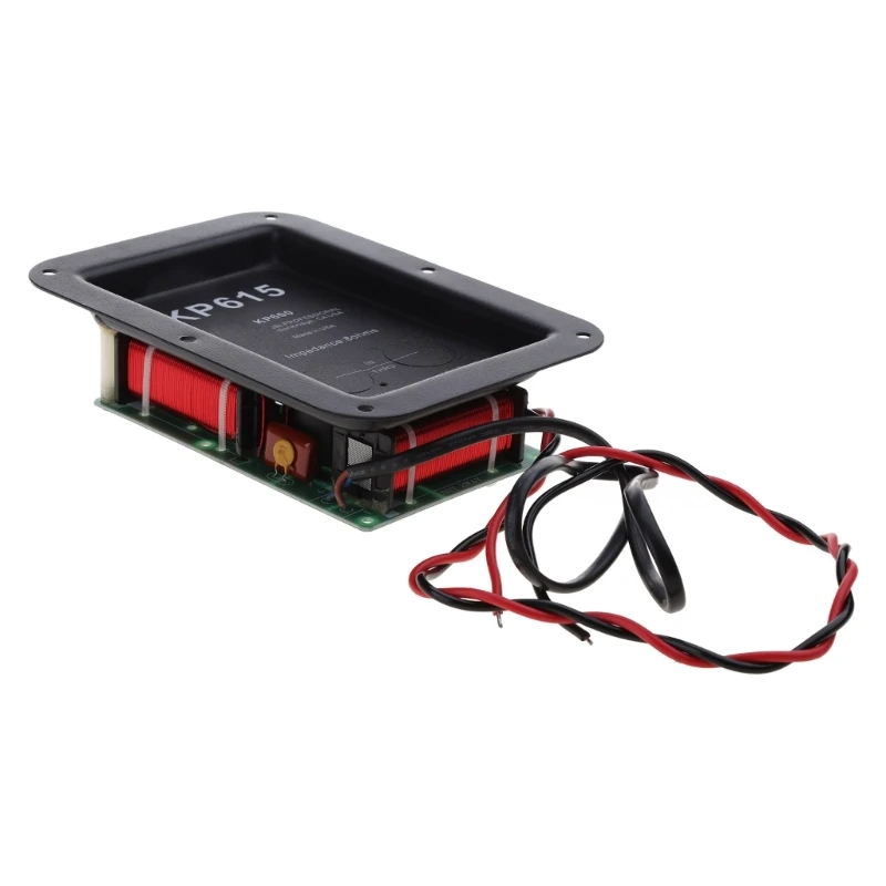 Divisor de frecuencia de altavoz de 450W, filtros cruzados de estante de sonido Hi-Fi de 2 vías, envío directo - imagen 3