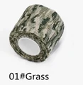 1 Grass