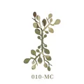 101MC-20PCS