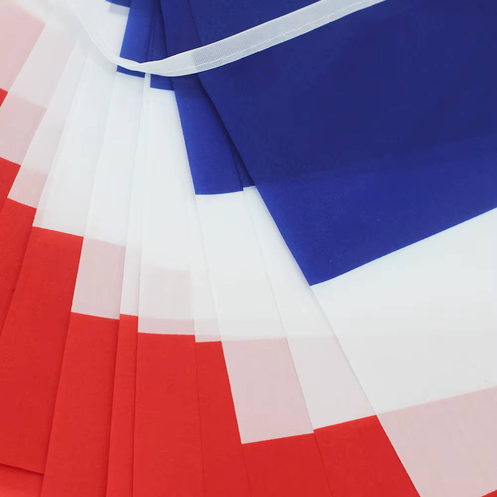 FLAGLINK Banderines cadena Francia decoración fiesta vacaciones - imagen 5