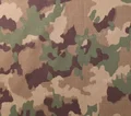 TAZ16