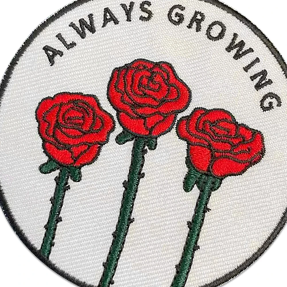 Hermosos parches bordados de rosas rojas, parches de insignia bordados para planchar para ropa, mochila, sudaderas, chaquetas, Día de San Valentín - imagen 4