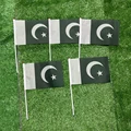 Pakistan hand flag