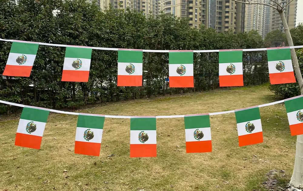Banderín México de poliéster resistente para exterior - imagen 3