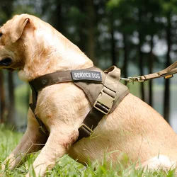 Arnés táctico MOLLE para perro – Entrenamiento exterior asa regulable