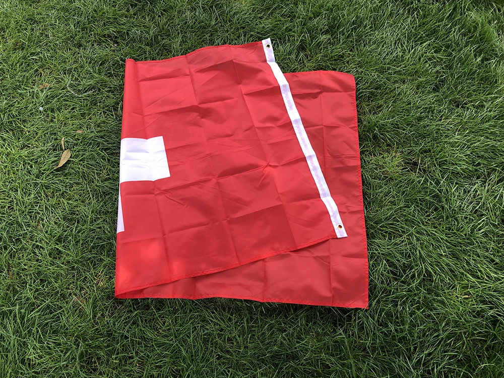Bandera suiza de poliéster colgante para exterior – Decoración - imagen 5