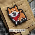 Shiba Inu