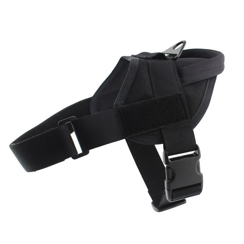 HTB1t89MXiLrK1Rjy1zdq6ynnpXaV