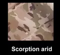 arid Scorption