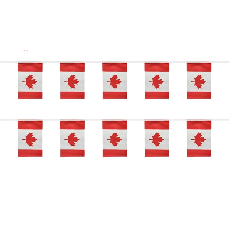Banderines de Canadá decorativos para exterior e interior - imagen 5