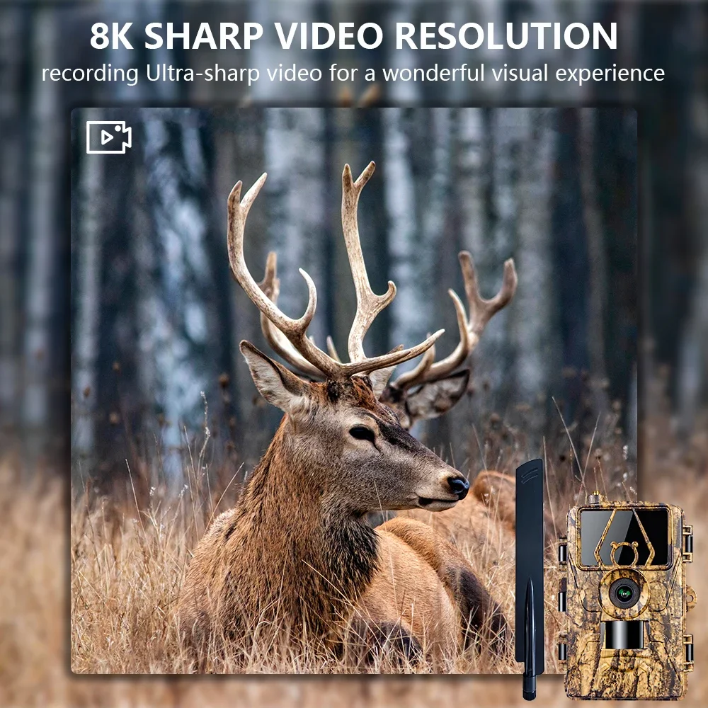 Cámara de caza PR801G 4G LTE: foto de 60 MP/vídeo 8 K, visión nocturna, resistente al agua IP66, seguimiento de animales y monitoreo de seguridad - imagen 2