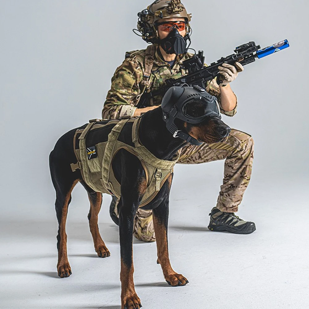 Casco táctico para perros K9 con gafas para policía K9 y perros de trabajo militares con protección para los oídos carril Picatinny extraíble en la parte superior - imagen 3