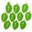 10 leaves