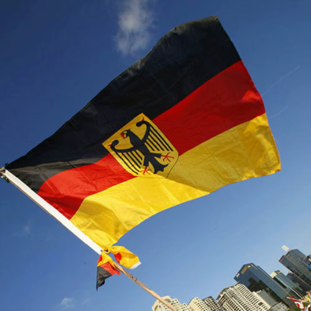 FLAGLINK Bandera Alemania escudo nacional para decoración