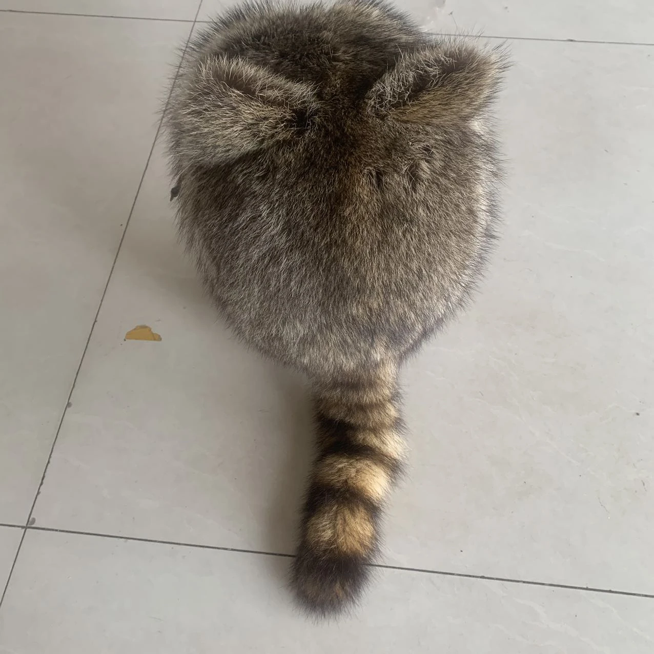 Funda de casco elegante, funda de casco de mapache de camuflaje forestal, funda de felpa para casco de corte alto WENDY MT/SF SX/XP